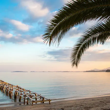 Chronis * バルバティ